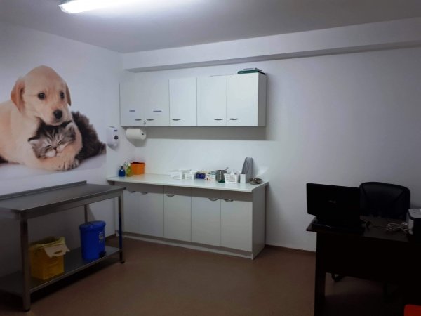 Adorapet - Cabinet veterinar